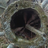 IMG_20190418_185431_02